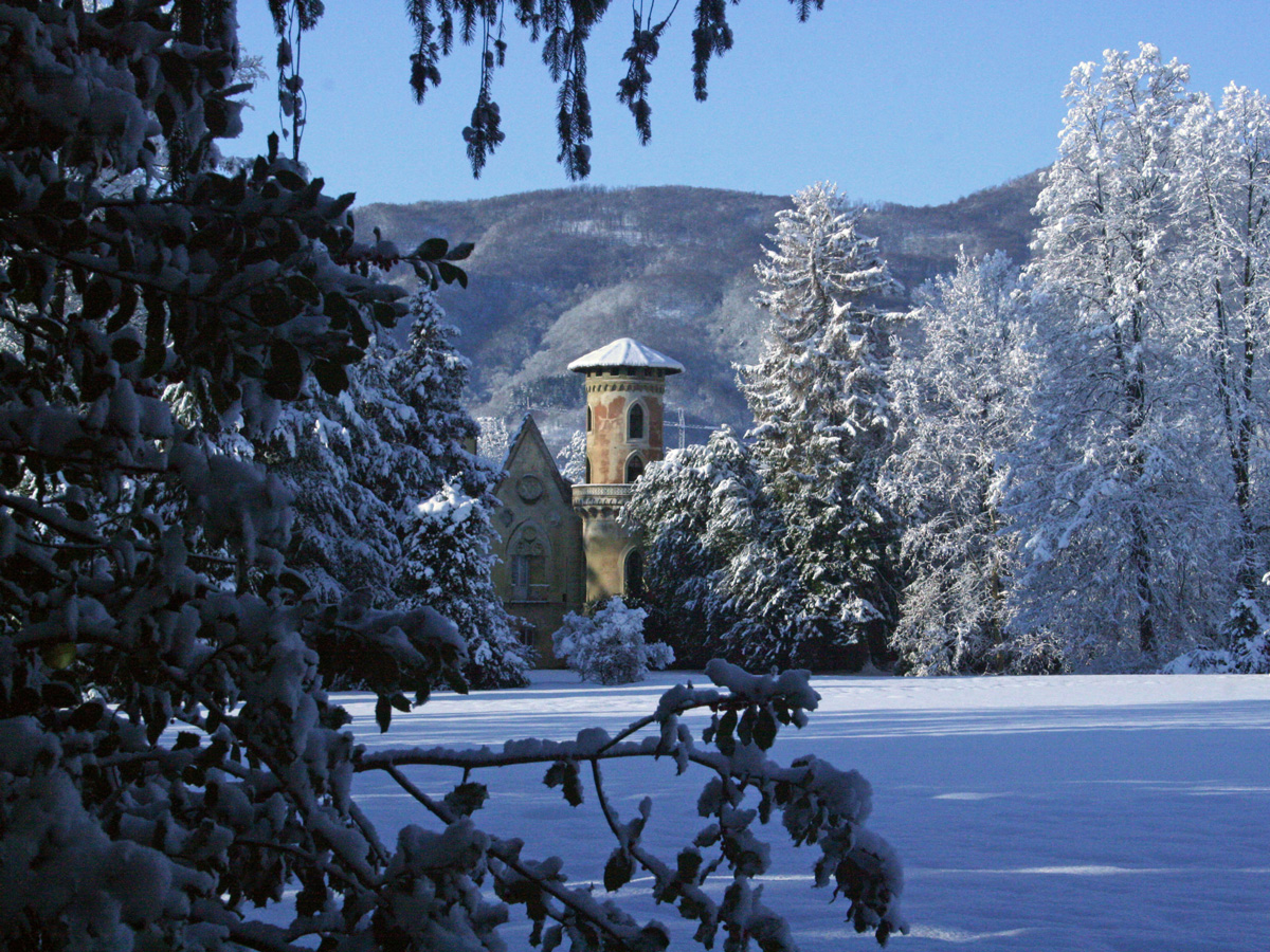 Immagine anteprima poster inverno