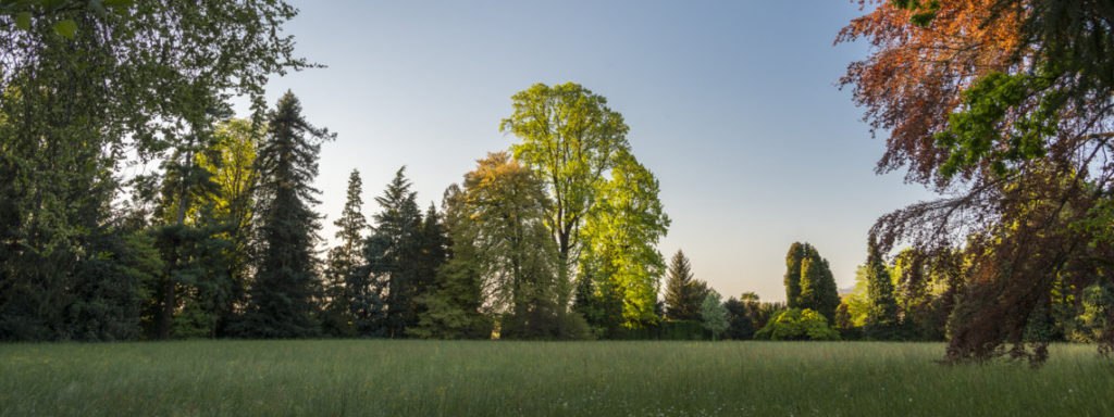 Il pinerolese e i suoi giardini all’inglese