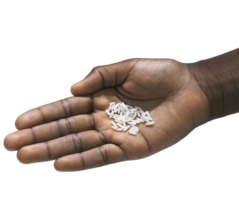 OLIVIERO TOSCANI- visita guidata