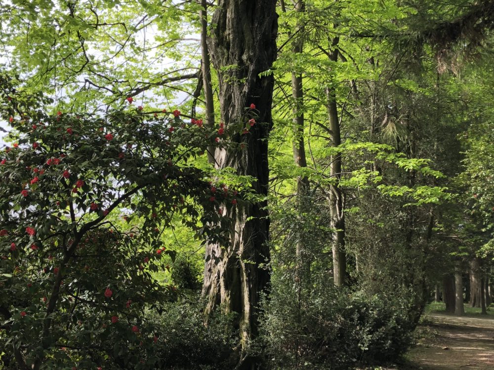 Attività nel parco “Piccoli esploratori di primavera” 2/5 anni