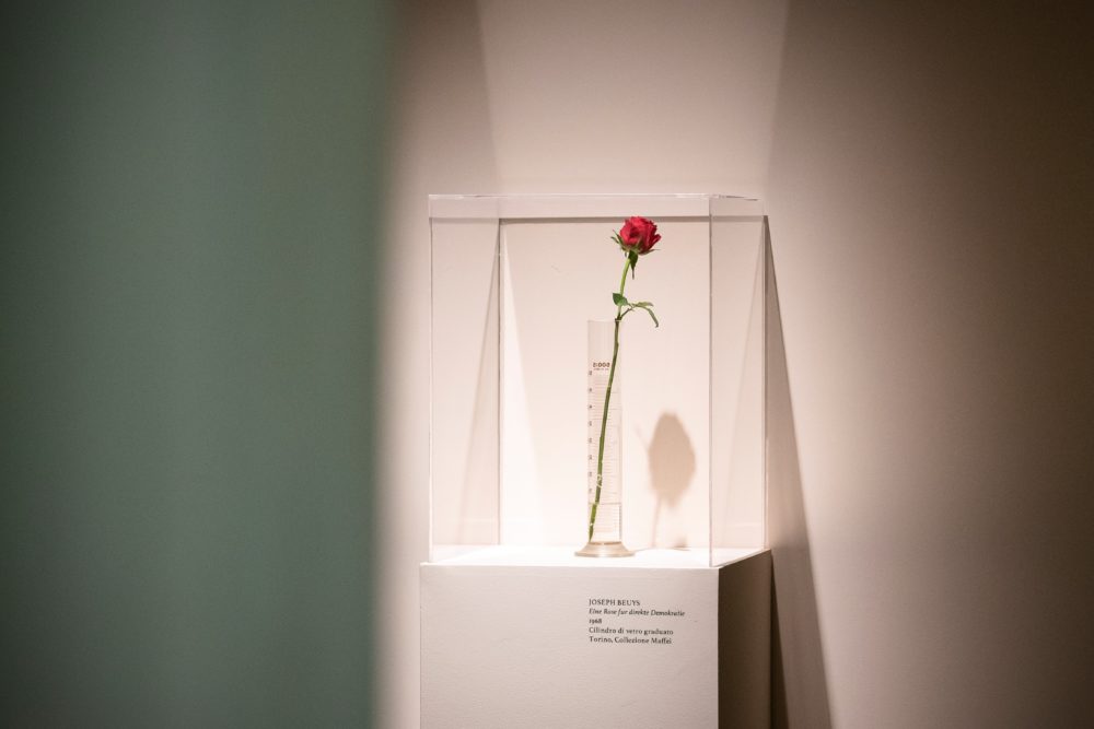 Mezz’ora con…Rosellina Archinto