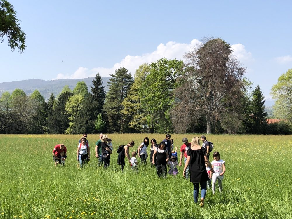 Caccia al Tesoro Botanico per famiglie