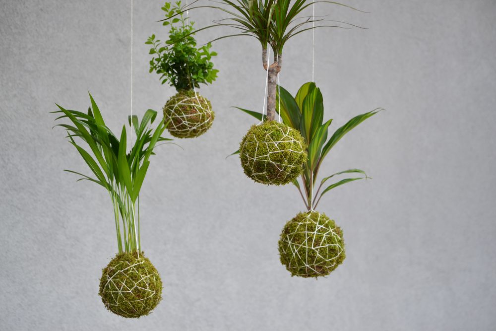 Attività per famiglie “Il tuo giardino d’Oriente”