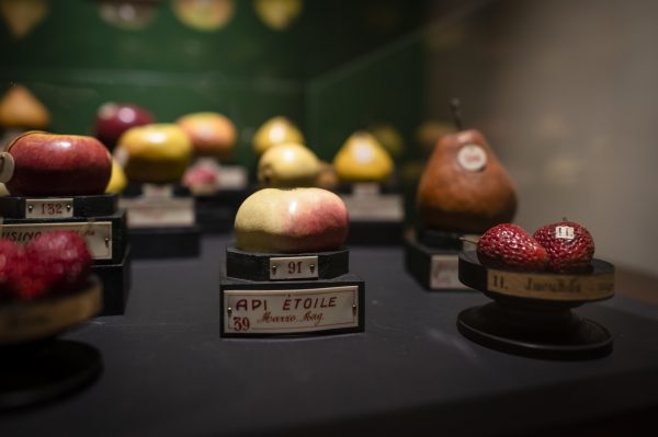 La mostra proroga al 26 giugno