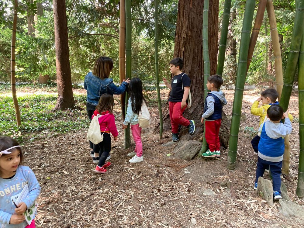 Caccia al Tesoro nel Parco