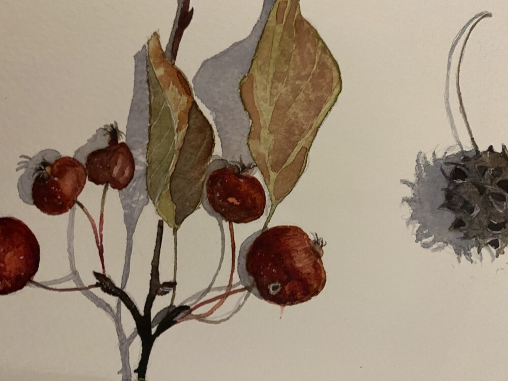 Acquerello en plein air: 4 incontri