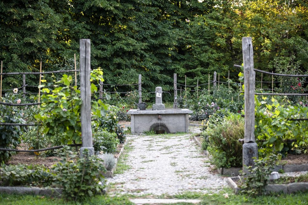 La cura dell’orto estivo