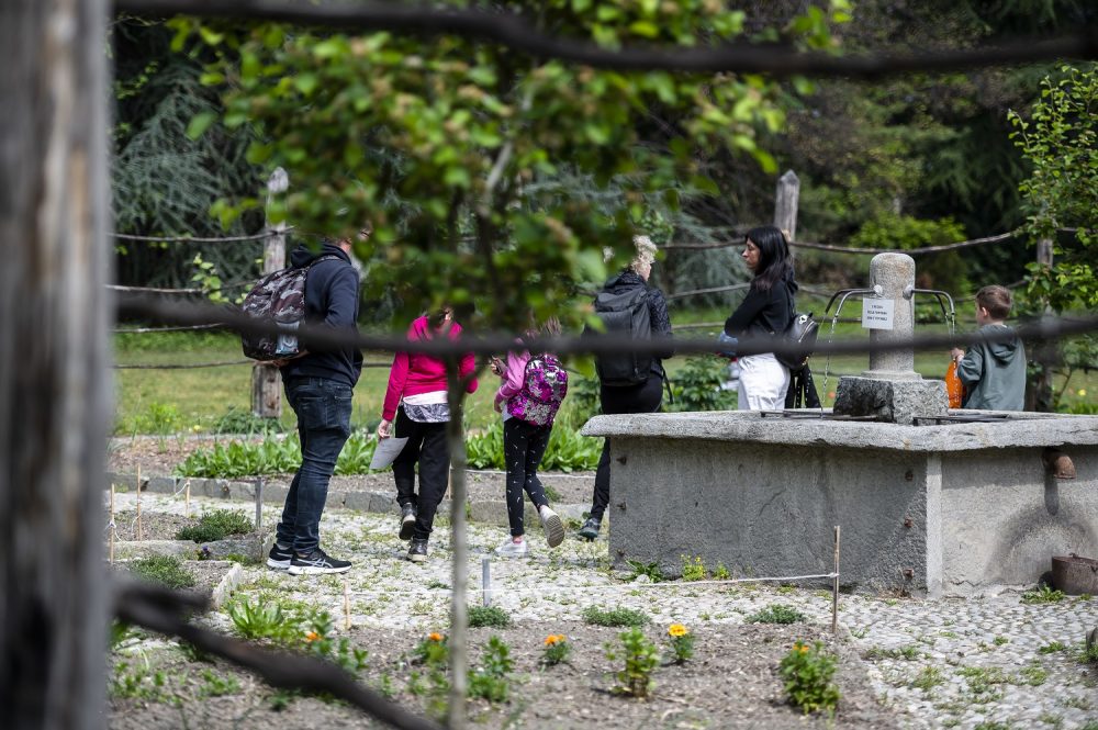 Attività per famiglie “Orto in condotta”