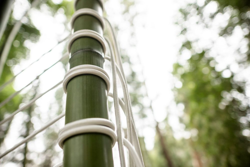 Apertura straordinaria della mostra e del parco
