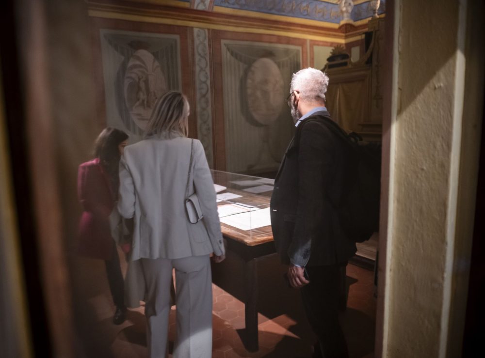 Visita guidata alla mostra