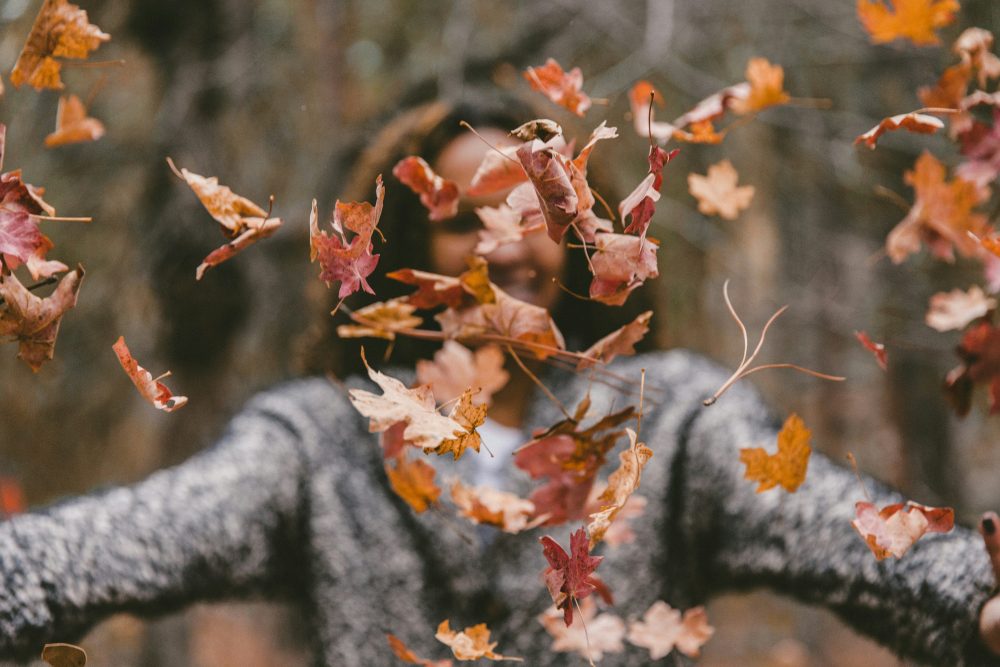 Passeggiata guidata “La magia del foliage”