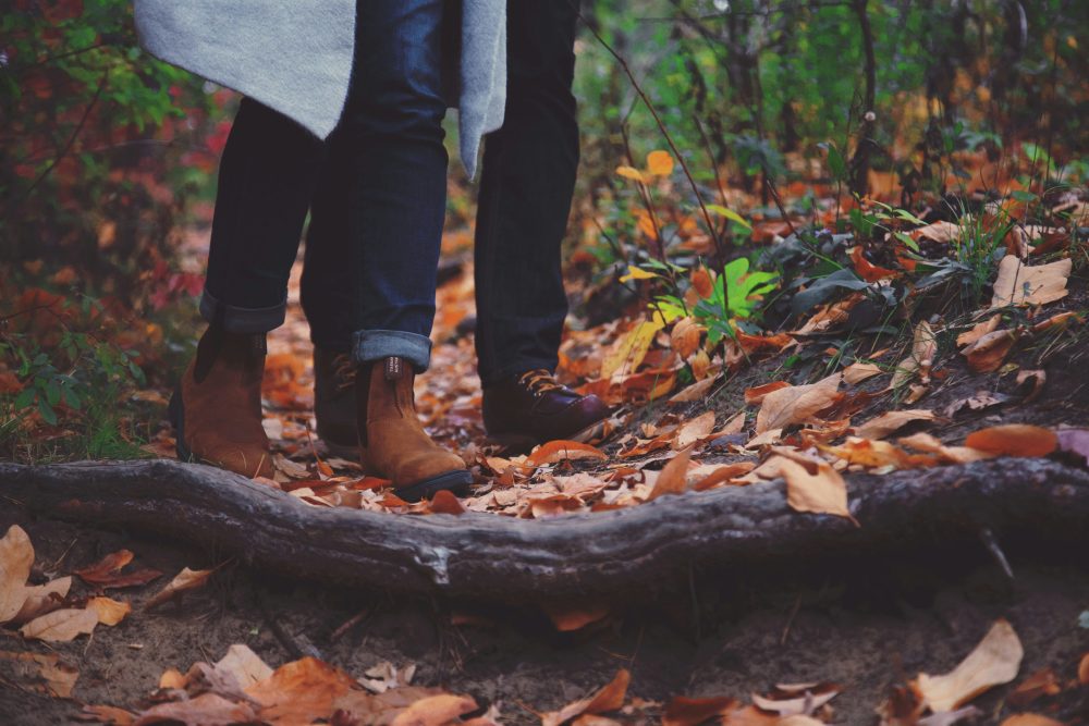 Passeggiata guidata “Autunno al parco”