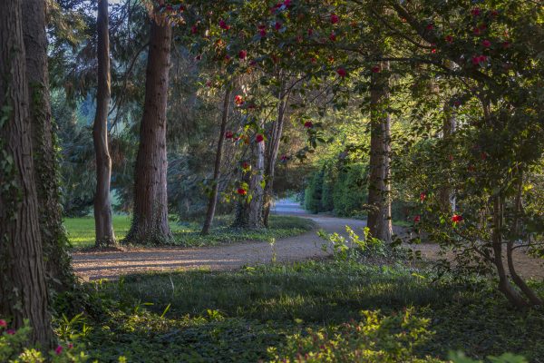 Una pausa estiva per il Castello e il Parco