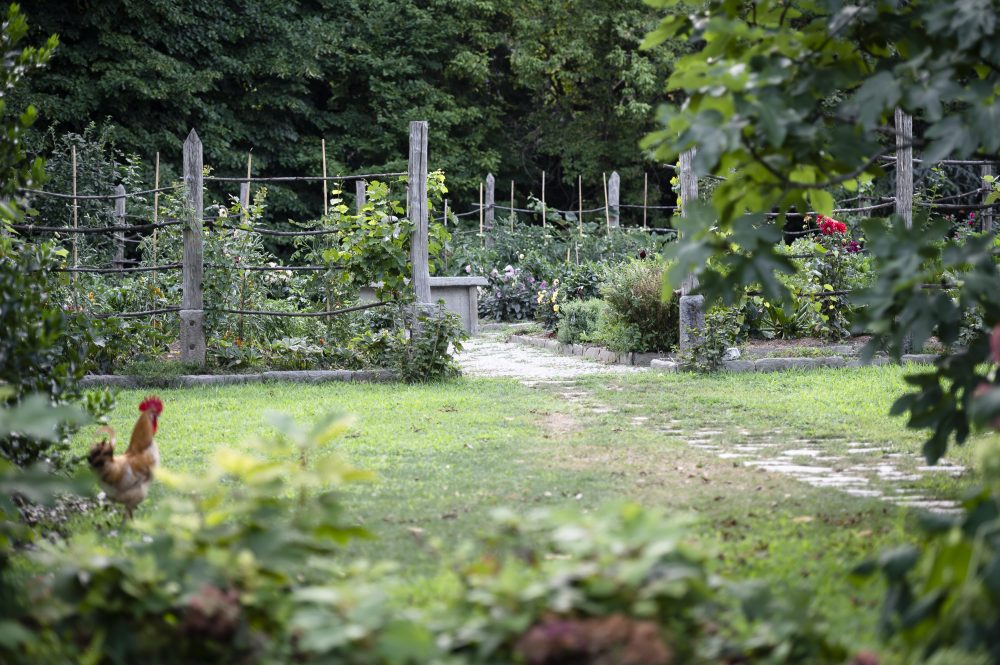 Visita guidata al parco: acqua o non acqua?