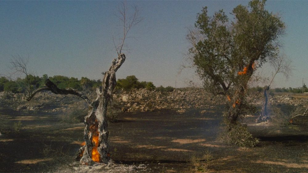 Il tempo dei giganti