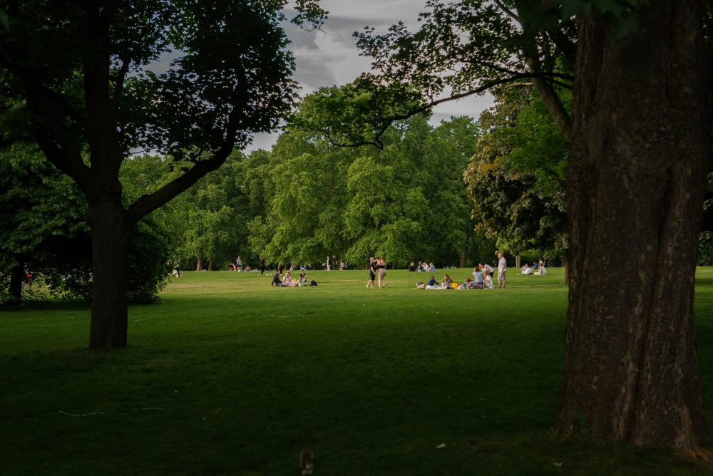 Benessere nel parco: workout al castello