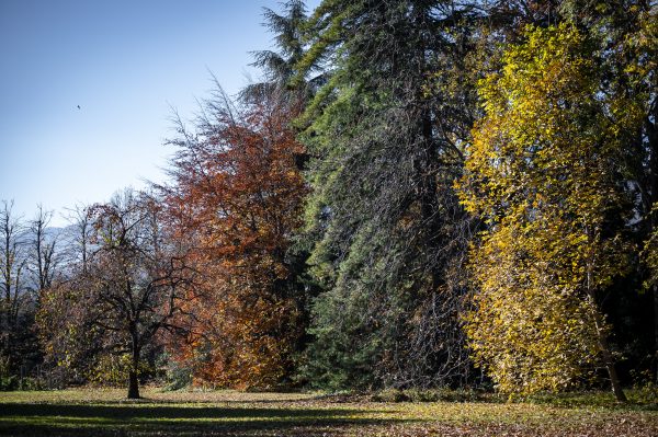La stagione d’autunno nel Parco Storico