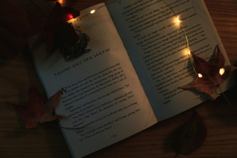 BTR 6: Letture davanti al camino della contessa